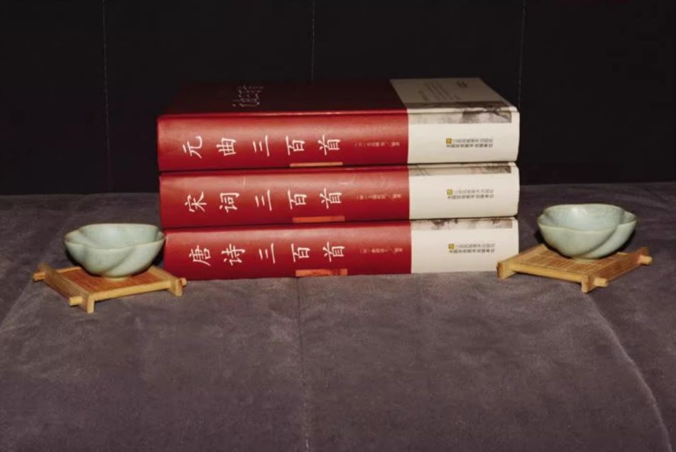 元曲三百首中国古诗词大全集初中生小学生课外阅读语文阅读中国古诗词诗经鉴赏青少年课外阅读书籍中国传统文 - 副本.png